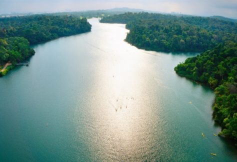 Aerial view of MacRitchie Reservoir in Singapore