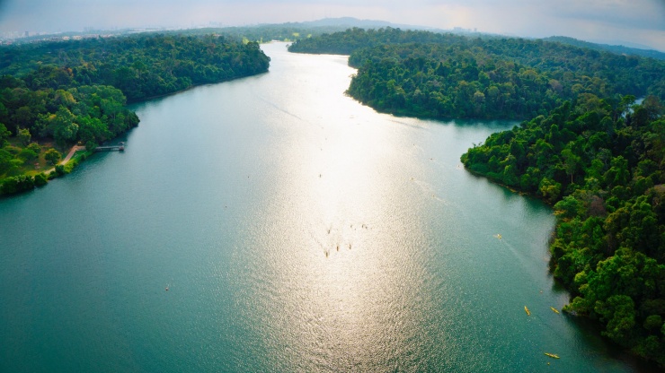 Read more about the article MacRitchie Reservoir Loop w/ Treetop Walk