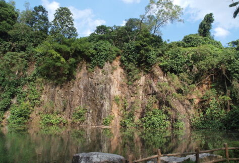 quarry at bukit batok nature park