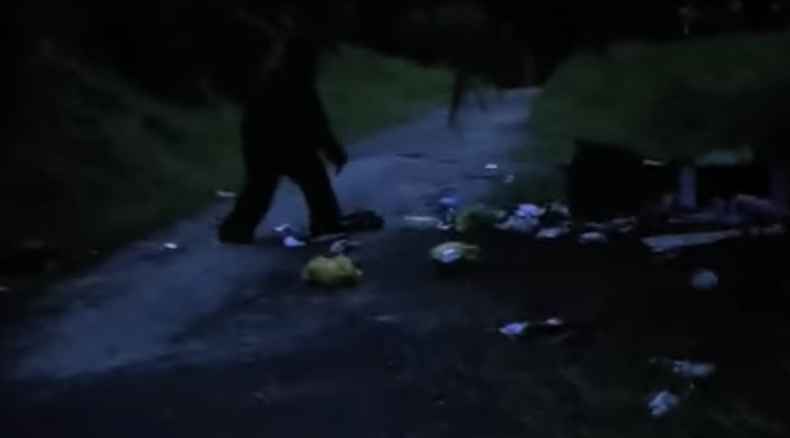 You are currently viewing Bukit Timah Monkey Man, Singapore’s Very Own Bigfoot