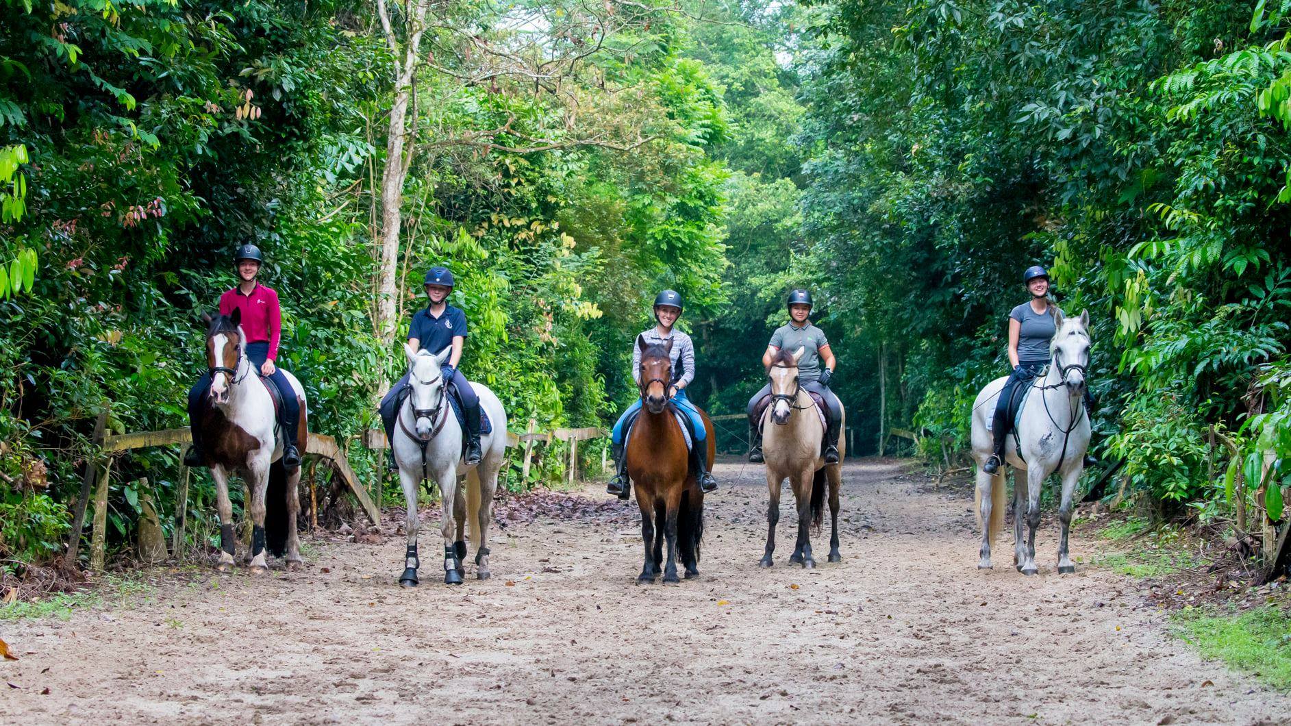 horses with riders in Bukit Timah