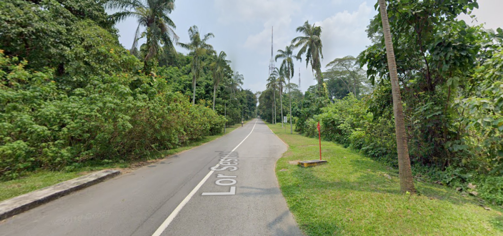 Lorong Sesuai at Bukit Batok nature park