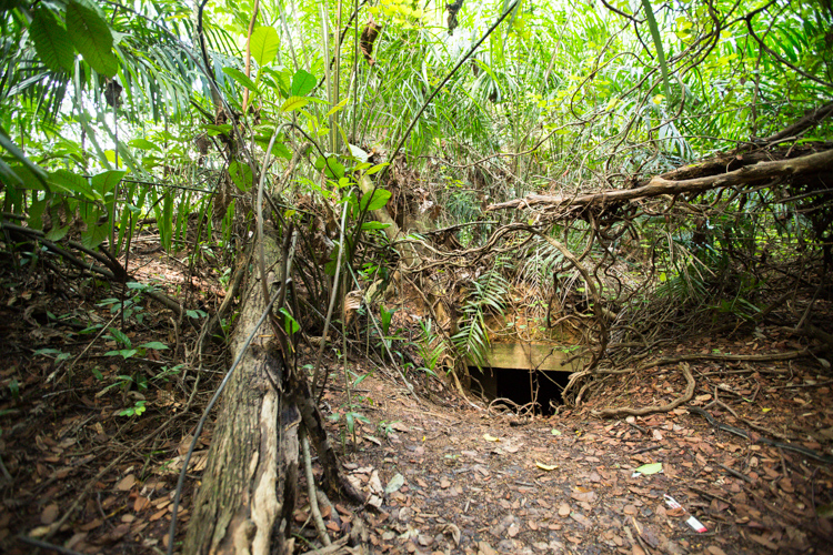 Hidden entrance to Marsiling tunnel at woodlands