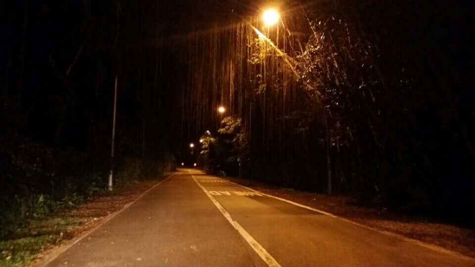 stretch of old upper thomson road at night
