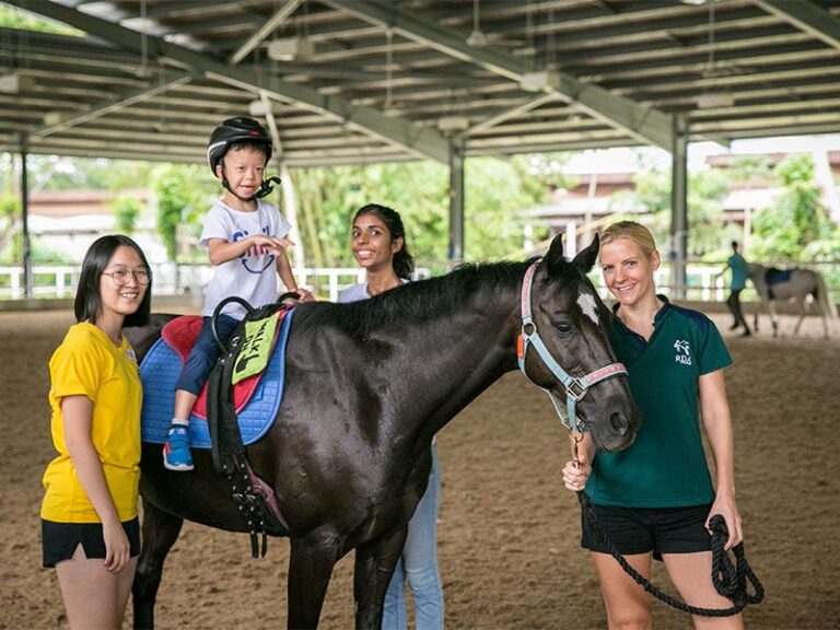 The Ultimate Guide to Horse Riding in Singapore Where to Learn and