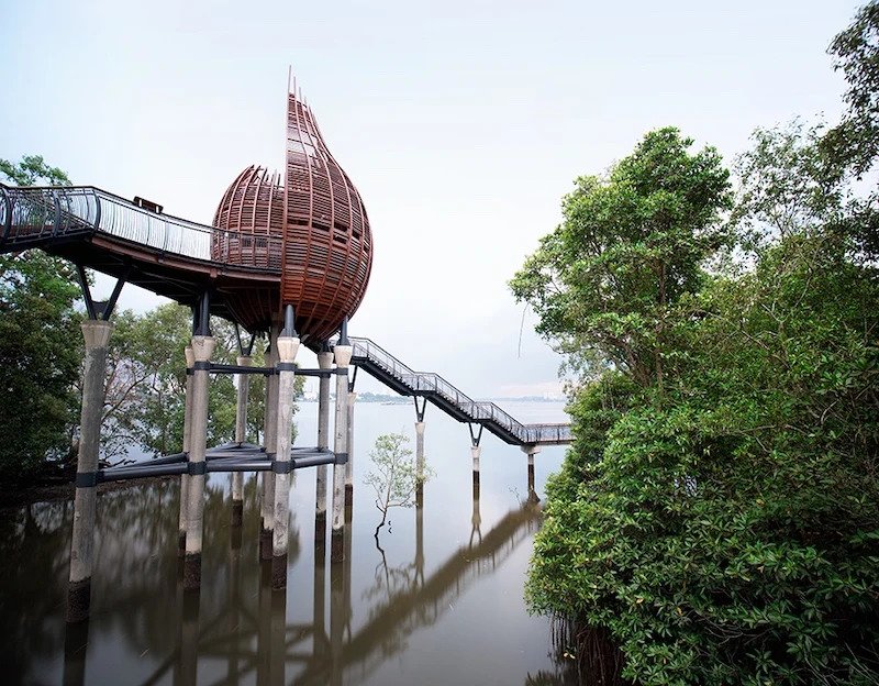 Read more about the article Sungei Buloh Nature Reserve Nature Walk