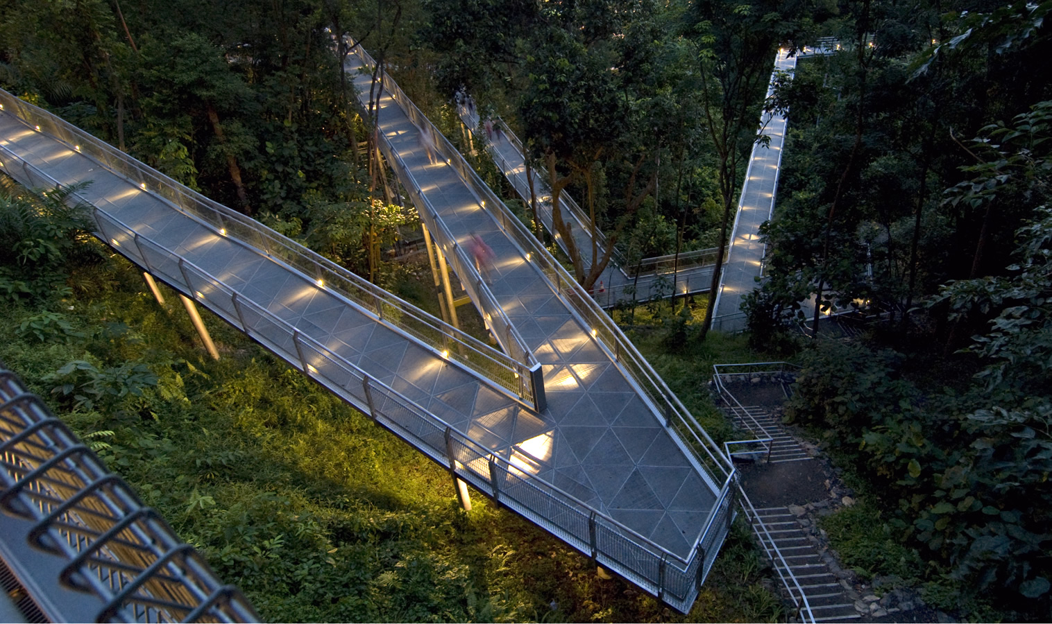 Elevated forest walkway in Telok Blangah Hill Park at night